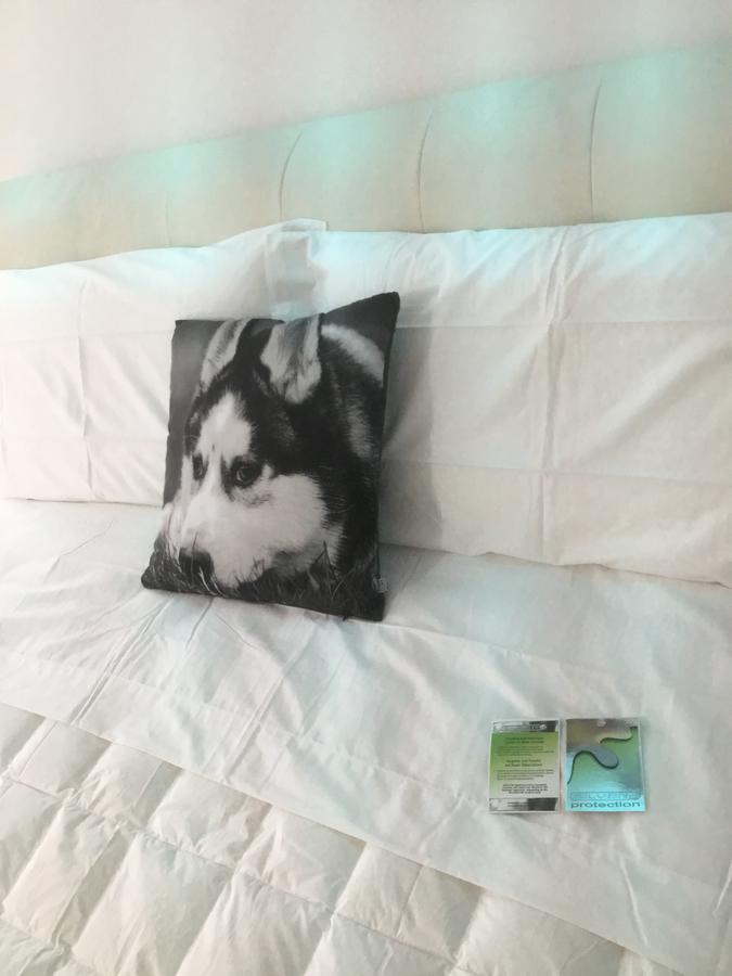 White Dream Suites Ясси Екстер'єр фото